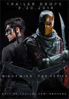 Affiche Nightwing : The Series