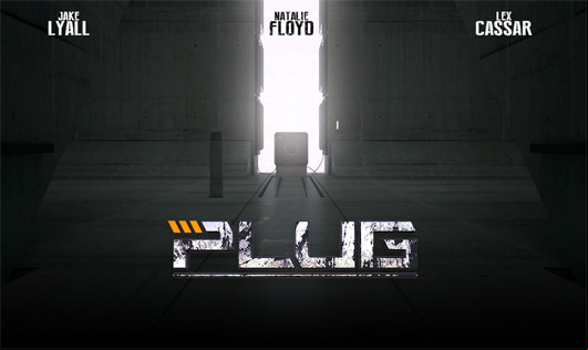 Plug